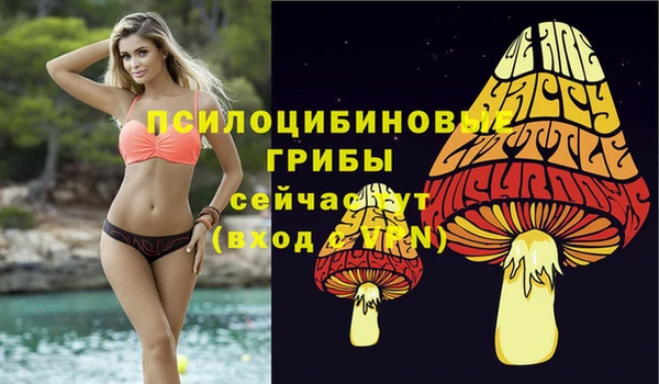 мяу мяу мука Алзамай
