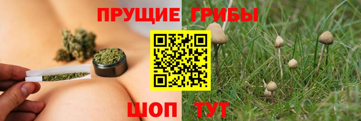 Галлюциногенные грибы мухоморы  Вход с VPN  Новоалтайск 