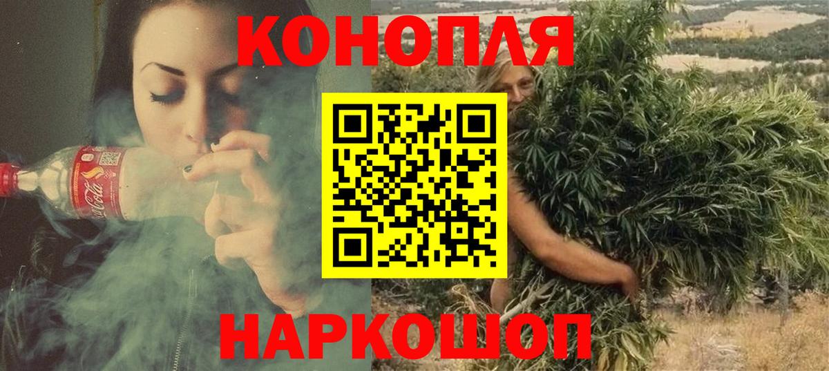 Каннабис ГИДРОПОН  Марихуана планчик  Вход с VPN  Новоалтайск  Бошки Шишки White Widow  Шишки марихуана сатива 